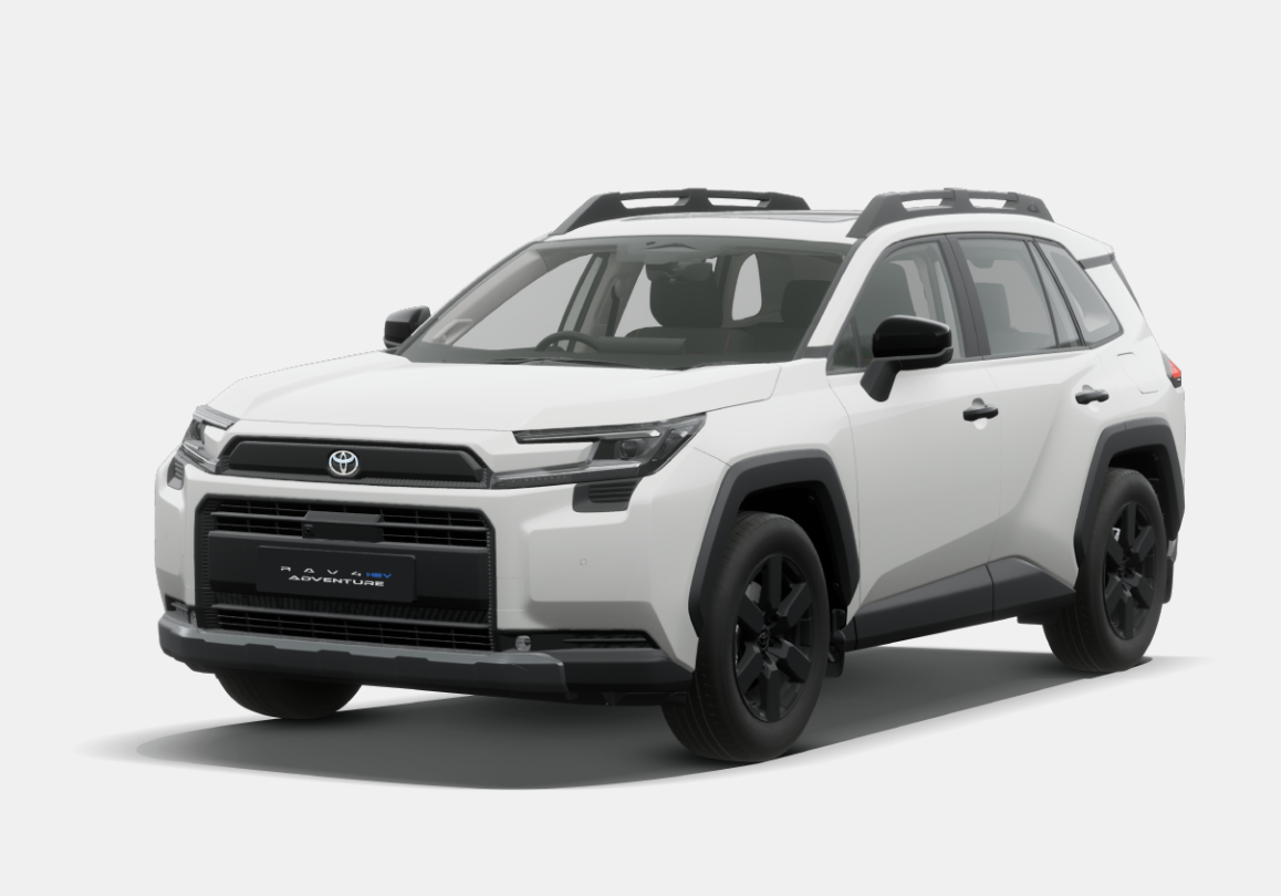 TOYOTA RAV4 Rongfang All trims
